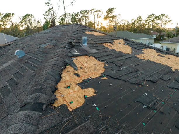 Best Roof Insulation Installation  in Rock Valley, IA