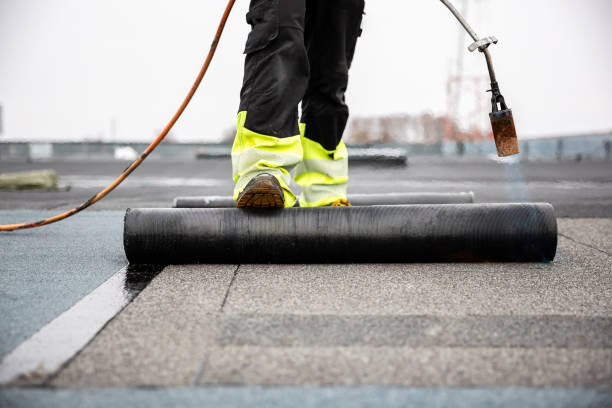 Best Rubber Roofing (EPDM, TPO)  in Rock Valley, IA