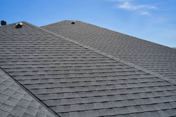 Best Slate Roofing  in Rock Valley, IA